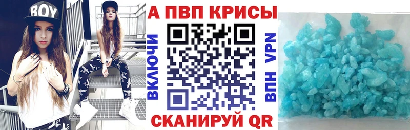 A PVP СК КРИС  Чита 