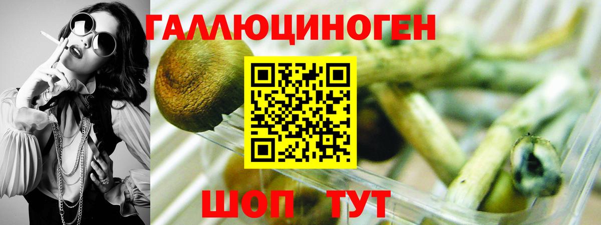 Галлюциногенные грибы прущие грибы Чита