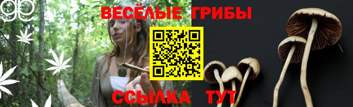 Галлюциногенные грибы прущие грибы  Вход с VPN  Чита 